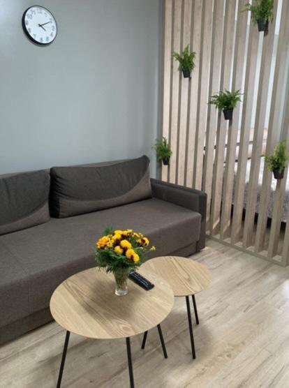 ריבנה Babylon Apartments On Vidinska 41 מראה חיצוני תמונה